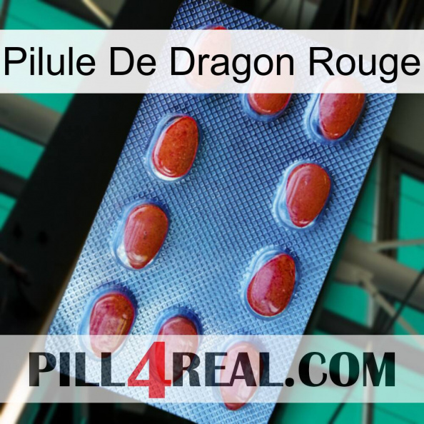 Red Dragon Pill 06.jpg